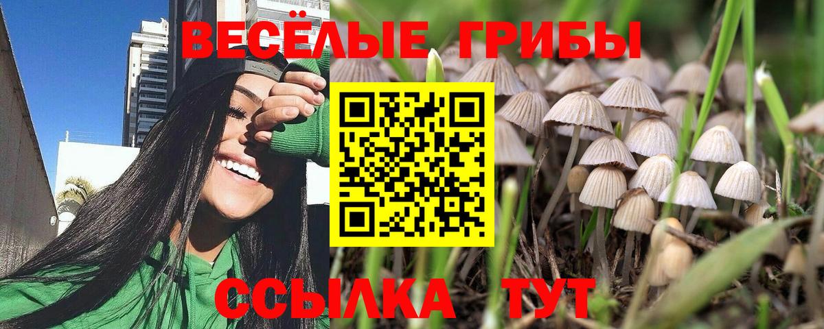Галлюциногенные грибы Cubensis  Вход с VPN  Химки  Галлюциногенные грибы Magic Shrooms 
